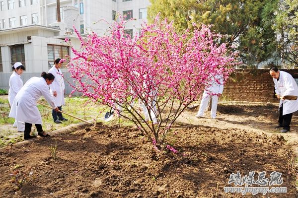 营造绿色就医环境__建设和谐美丽医院_———医务人员义务劳动绿化美化医院环境