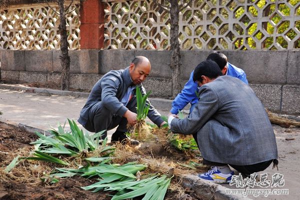 营造绿色就医环境__建设和谐美丽医院_———医务人员义务劳动绿化美化医院环境