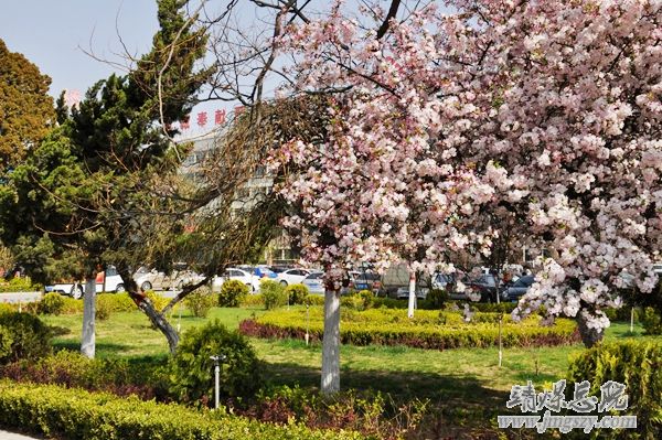 营造绿色就医环境__建设和谐美丽医院_———医务人员义务劳动绿化美化医院环境
