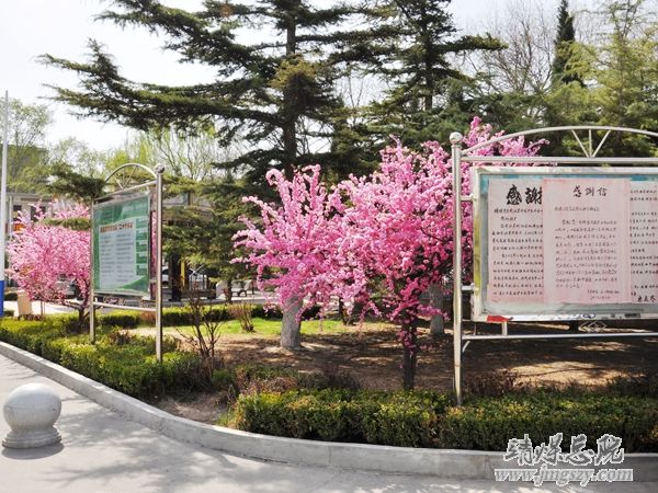 营造绿色就医环境__建设和谐美丽医院_———医务人员义务劳动绿化美化医院环境