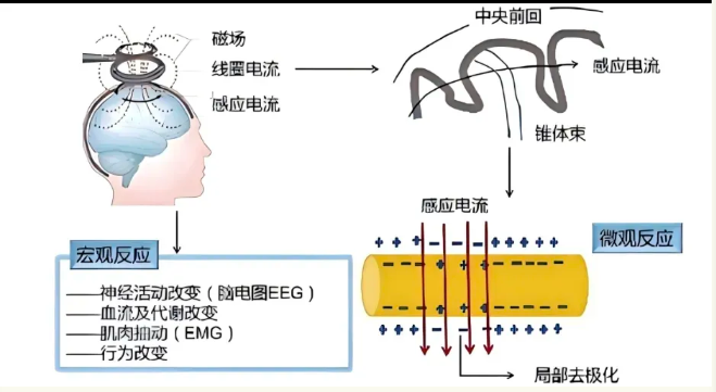 1769762768966213.png 企业微信截图_17697626151065.png